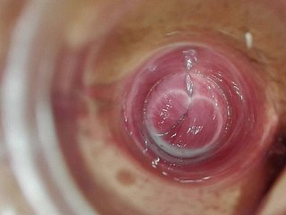 Inside information en el interior gatito de coryza vagina Cunt